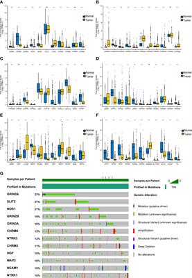 Bioinformatic-based genetic characterizations of neural regulation in skin cutaneous melanoma